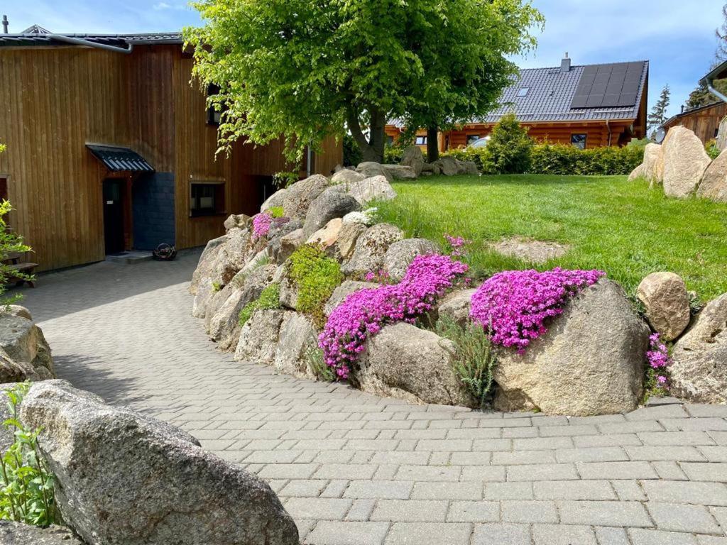 Naturstammhaus Und Appartements Zum Brockenbaecker Tanne Extérieur photo