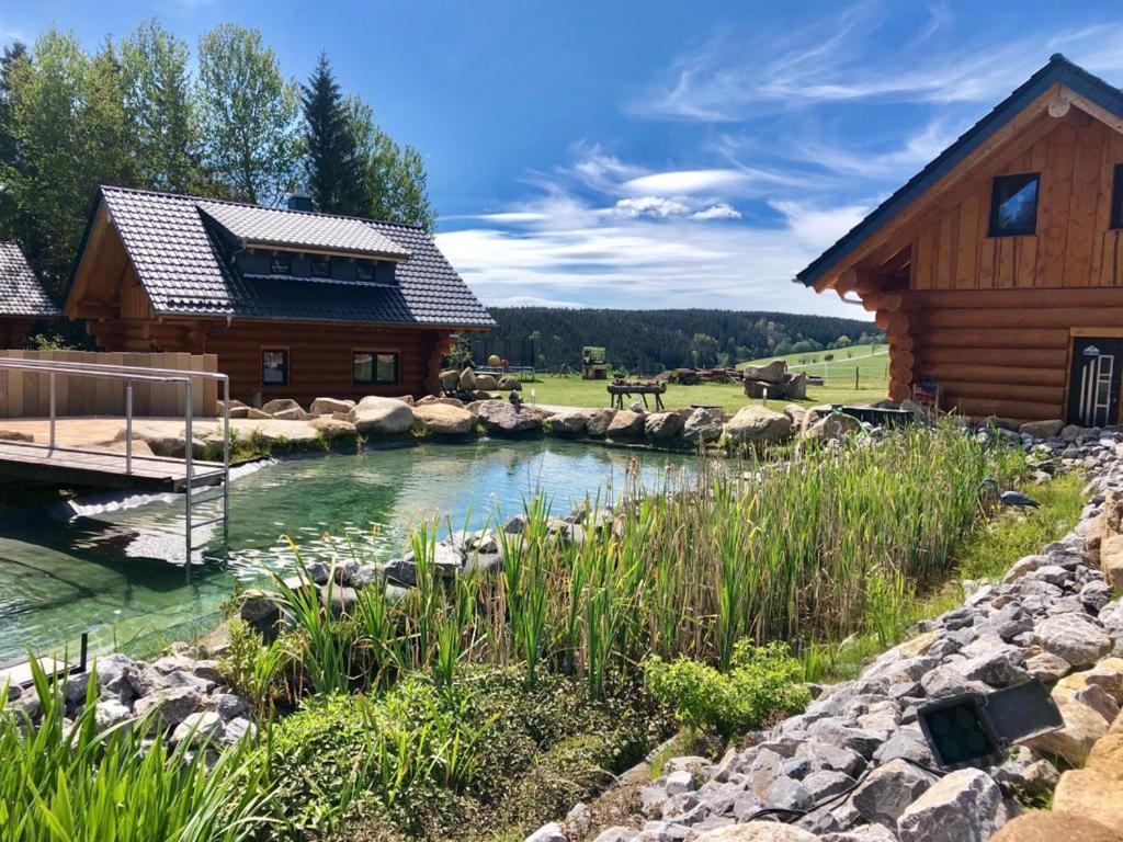 Naturstammhaus Und Appartements Zum Brockenbaecker Tanne Extérieur photo